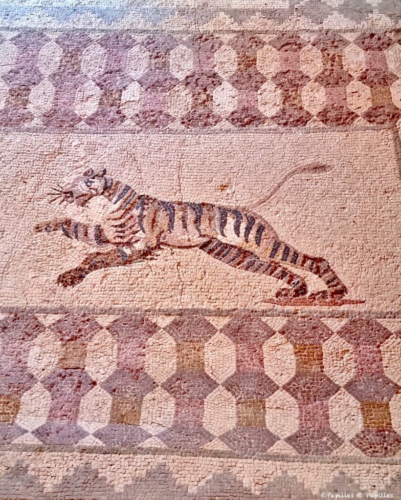 Site archéologique de Néa Paphos