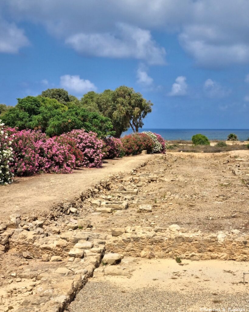 Site archéologique de Néa Paphos