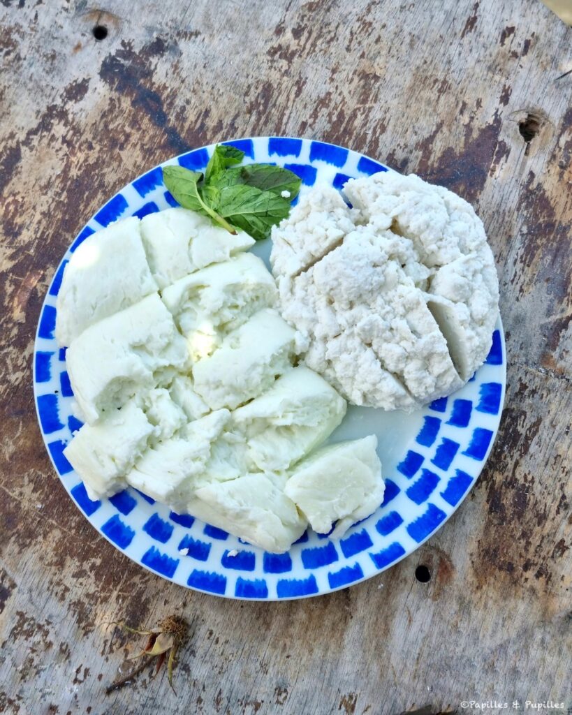 Sofia - Halloumi et anari