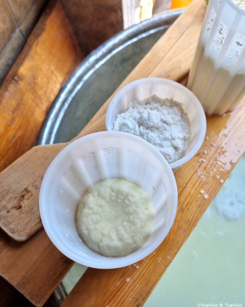 Préparation Halloumi