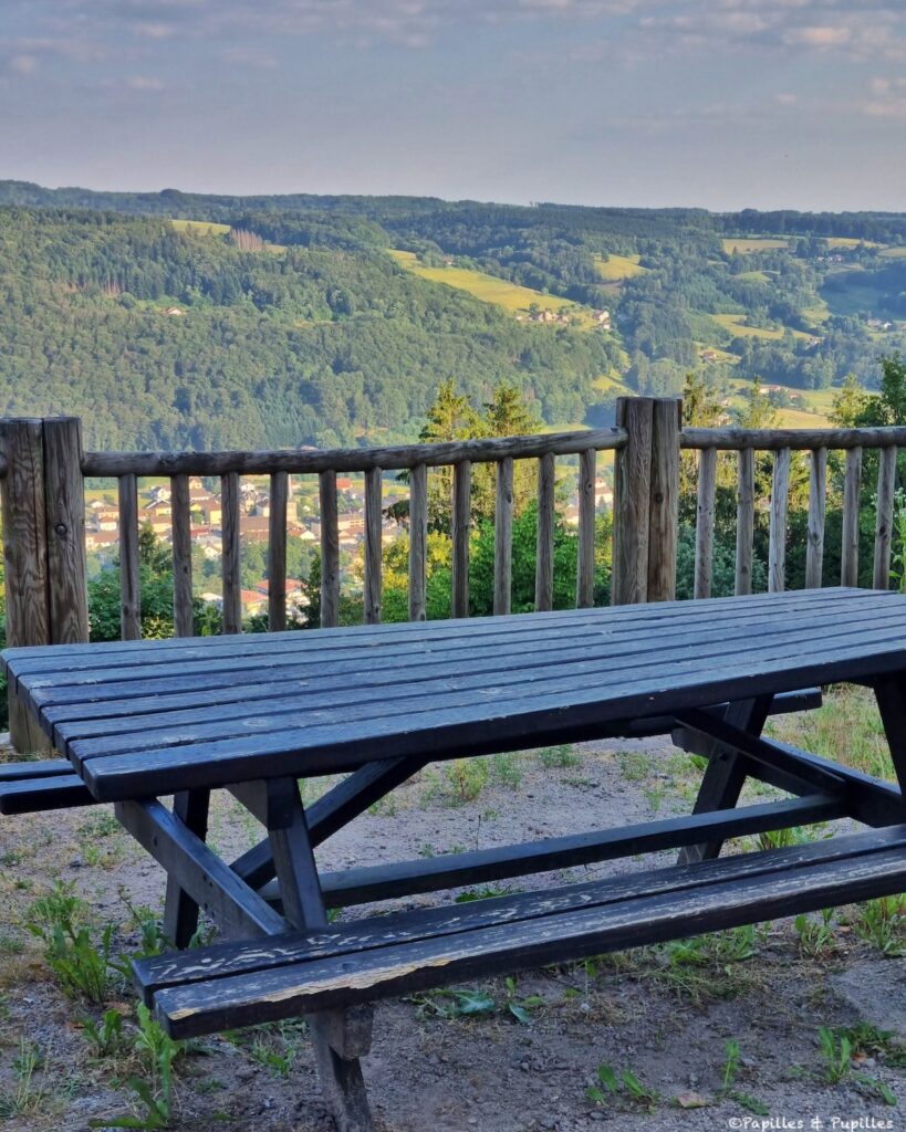 Table de pique nique