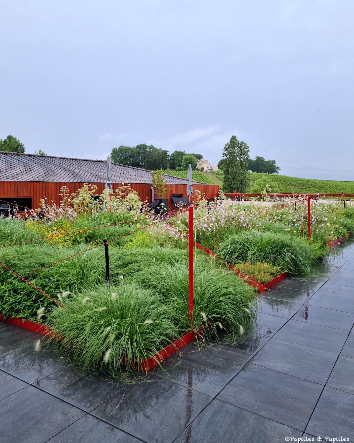 Terrasse Fleur Cardinale