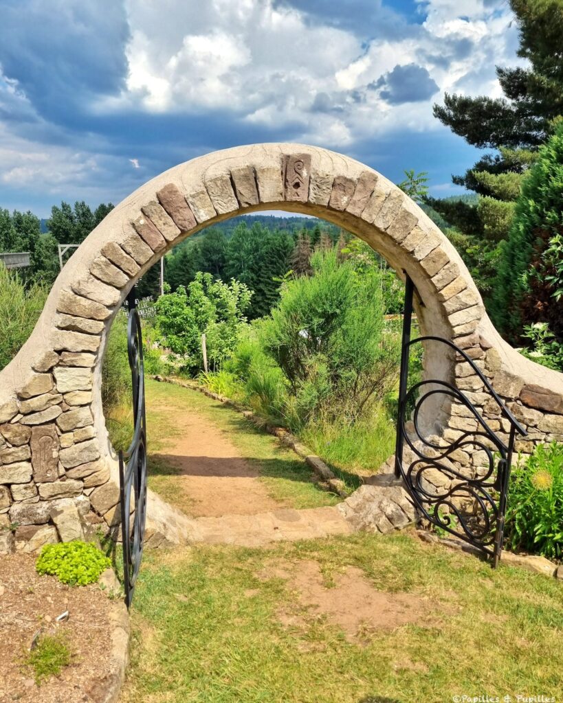 Une figue dans le poirier