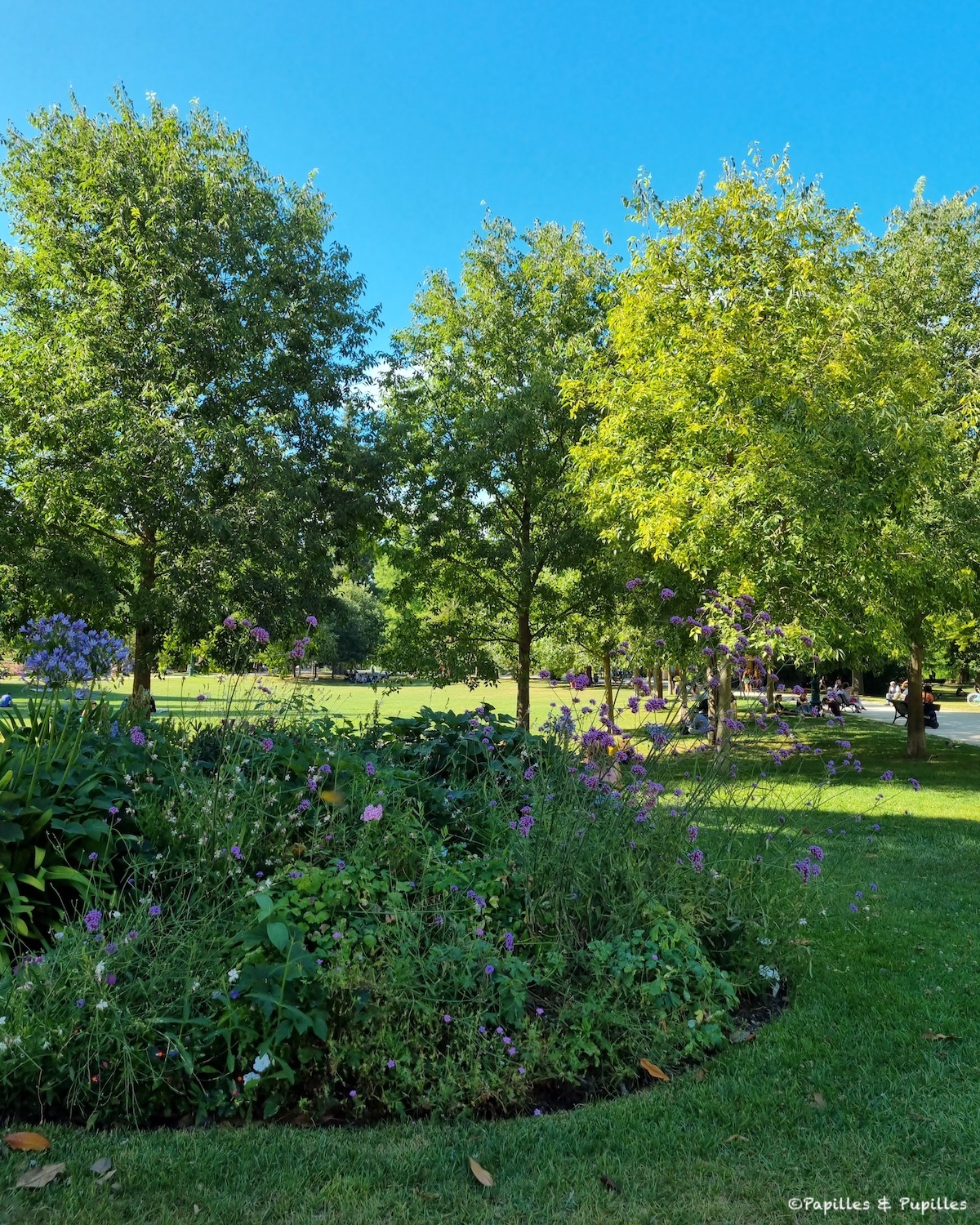 Jardin Public Bordeaux
