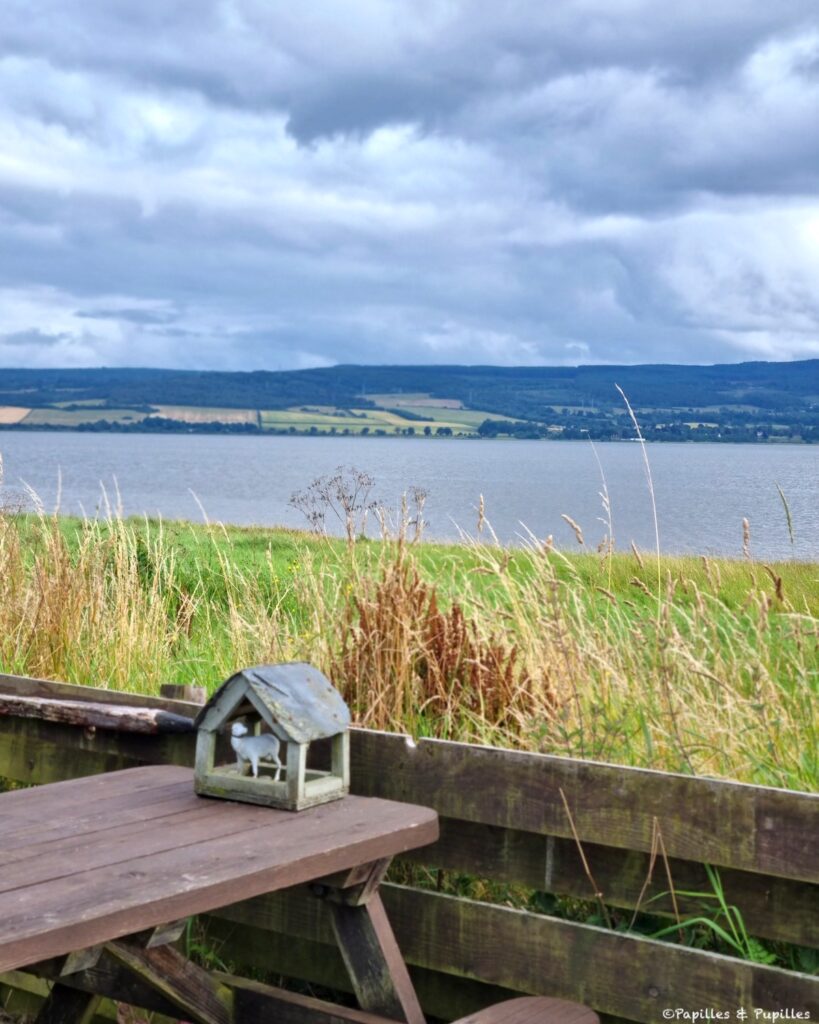 Beauly Firth Muir of Ord