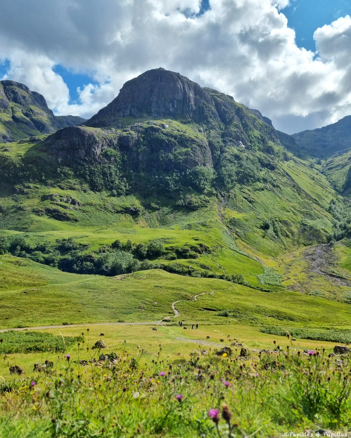 Glencoe