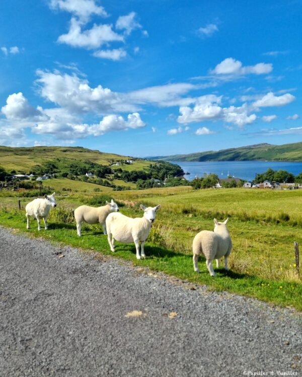 Sur les routes de l'île de Skye