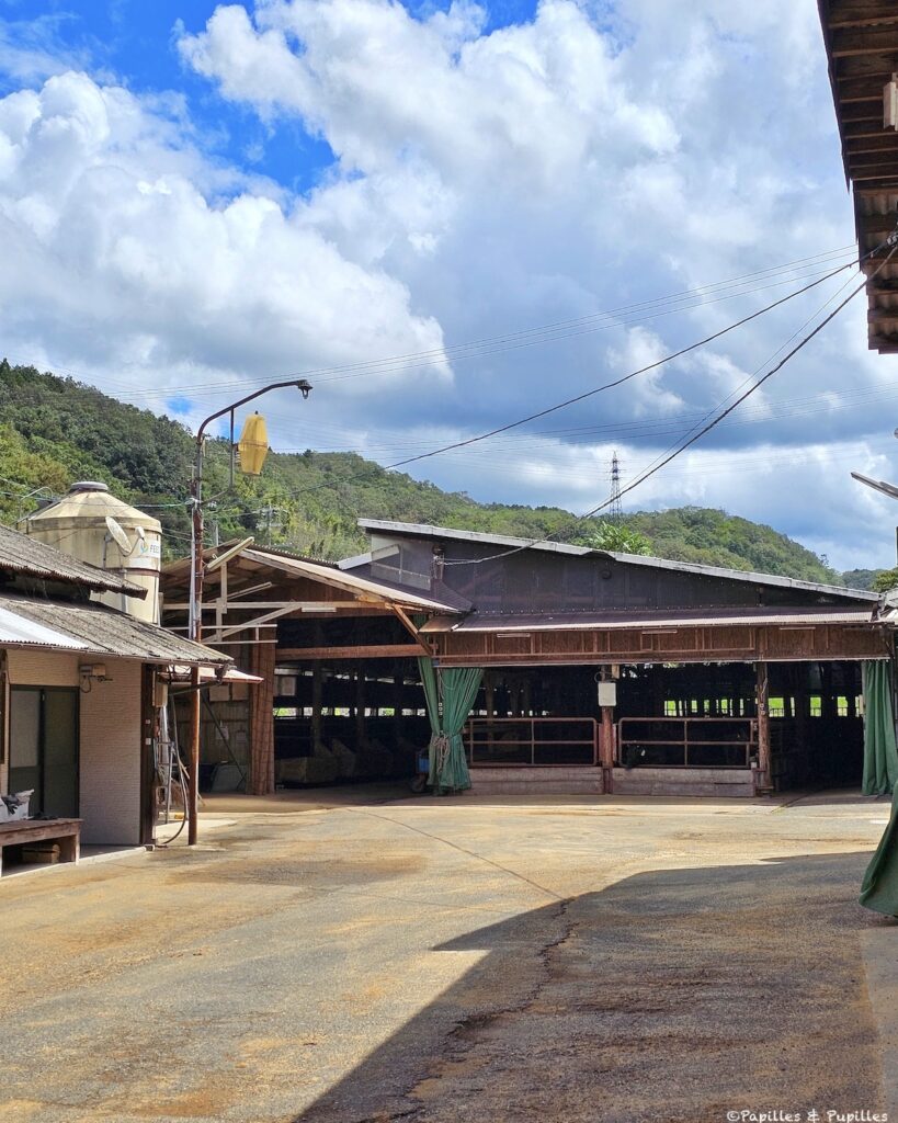 Ferme de Mr Morimoto