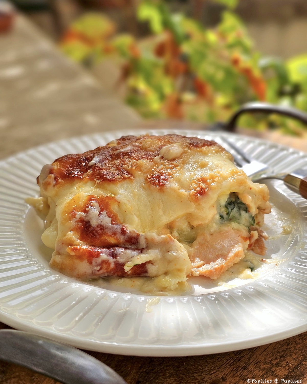 Lasagnes saumon épinards