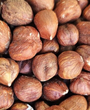Noisettes