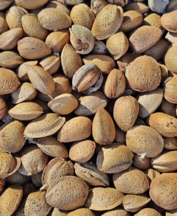 Amandes