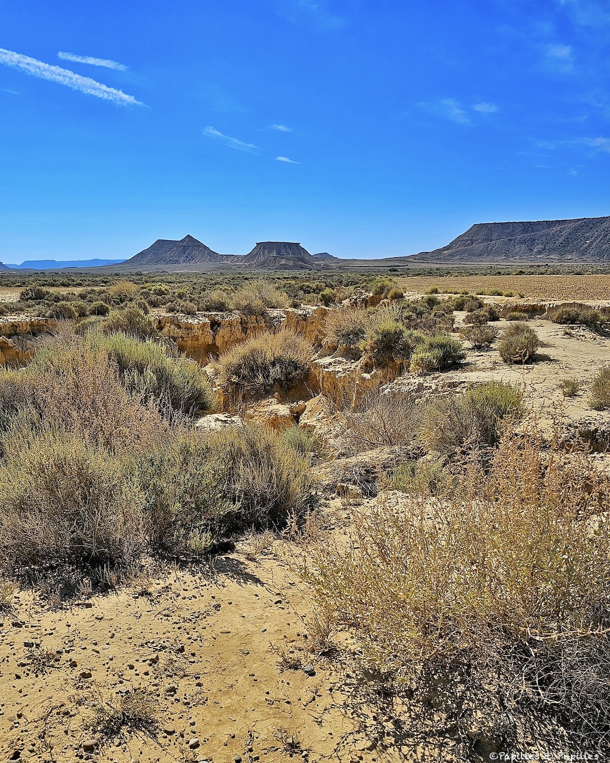 Désert des Bardenas