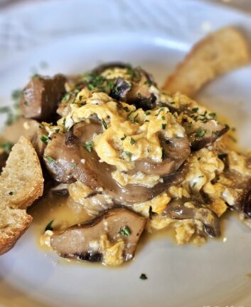 Omelettes aux cèpes