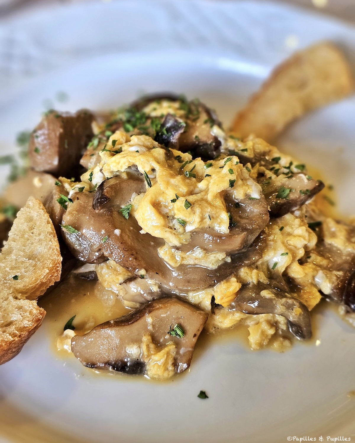 Omelettes aux cèpes