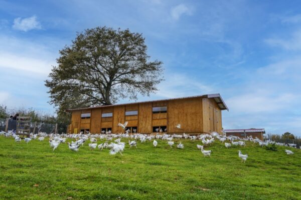 Cabane Poulet du Bourbonnais © Nathalie Dubost