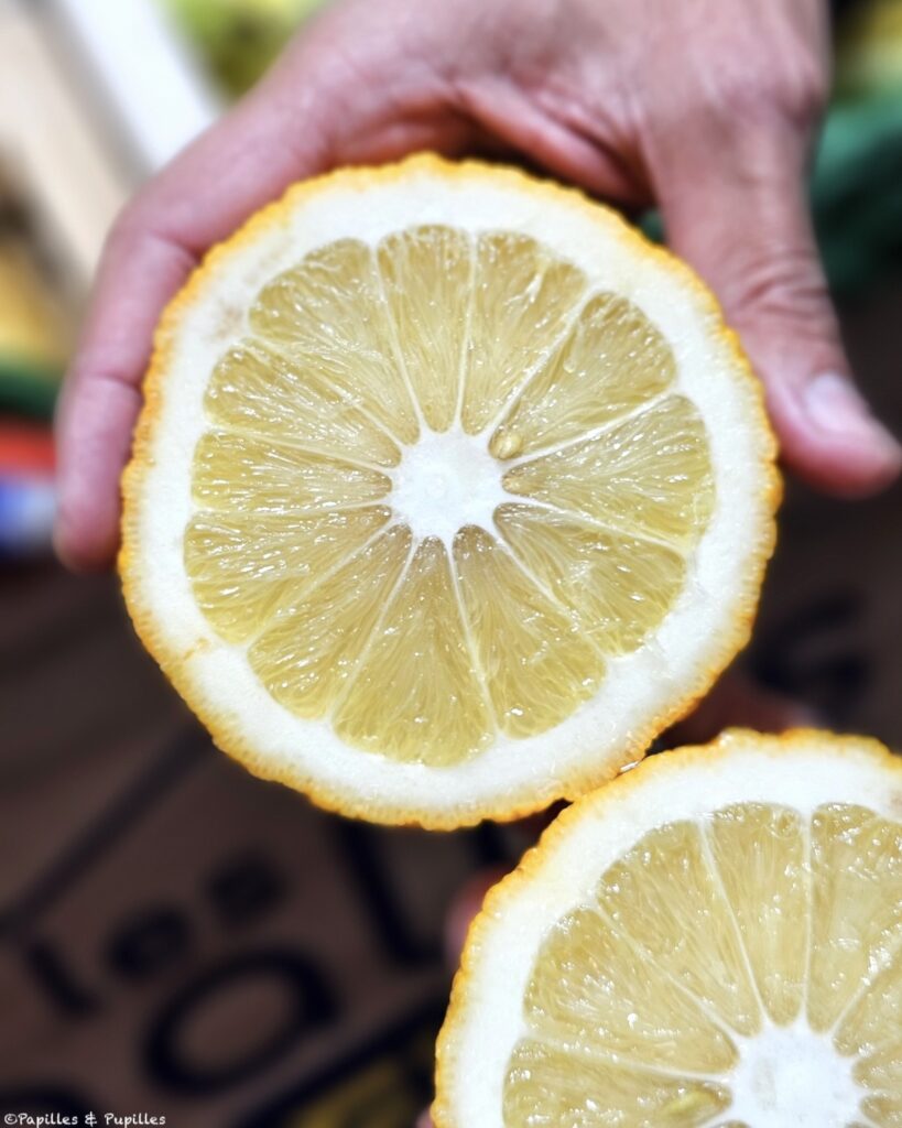 Citron Hystrix de Nice fendu en 2