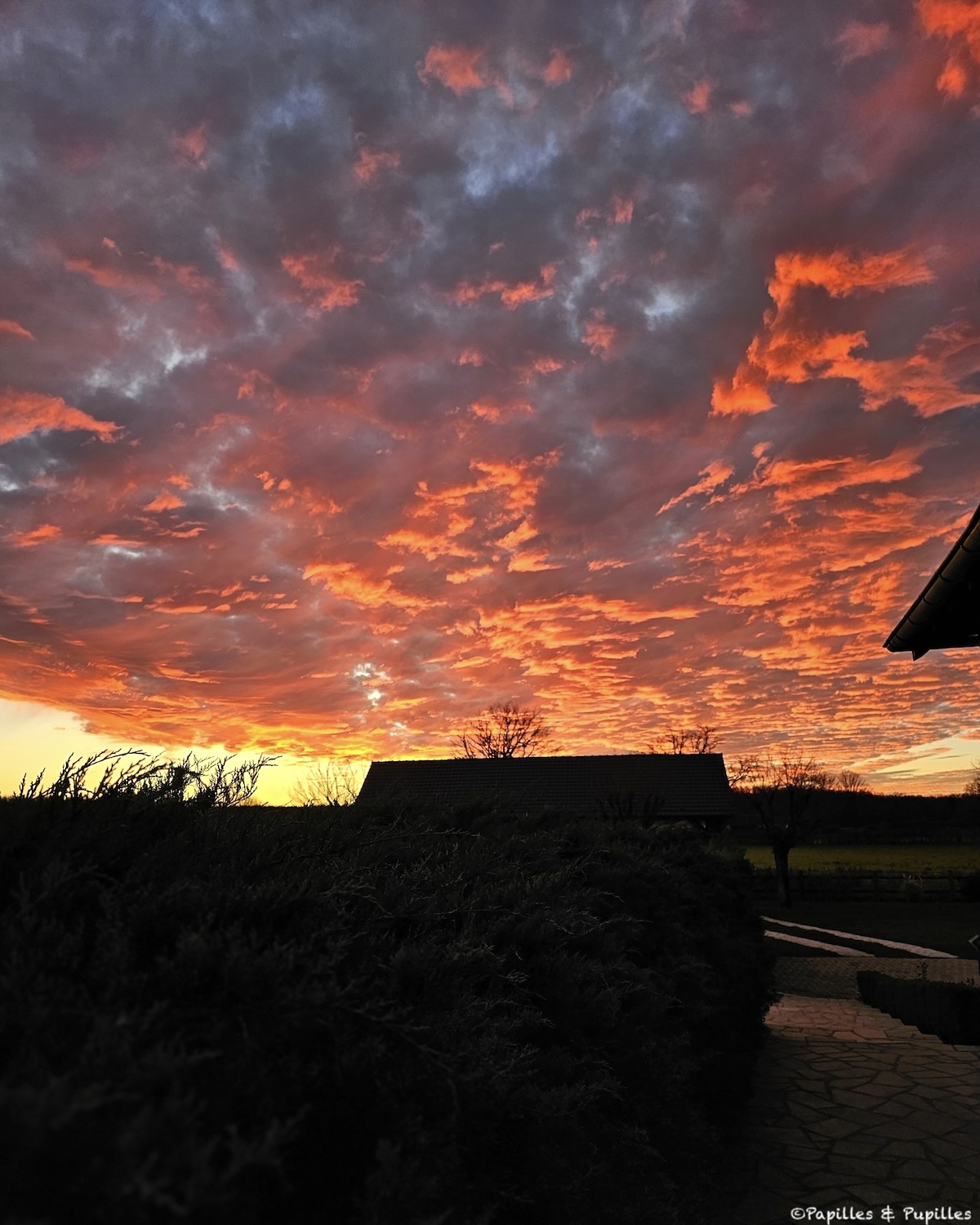 Ciel flamboyant - Auvergne