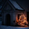 Sapin de Noël © Simon Lohmann - Unsplash