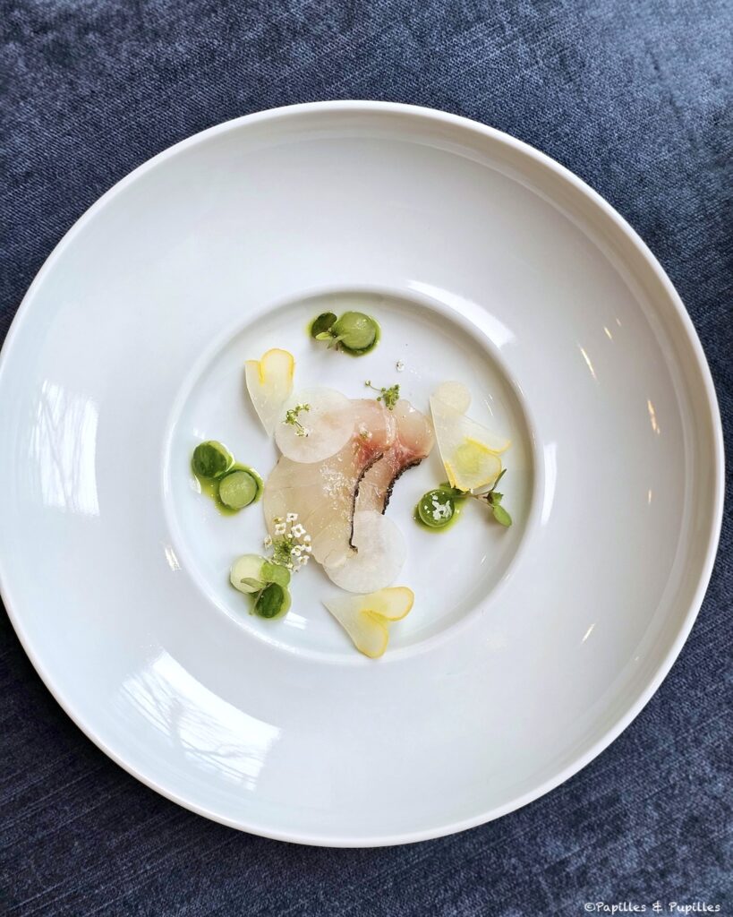 Bar, concombre, chou rave et main de Bouddha