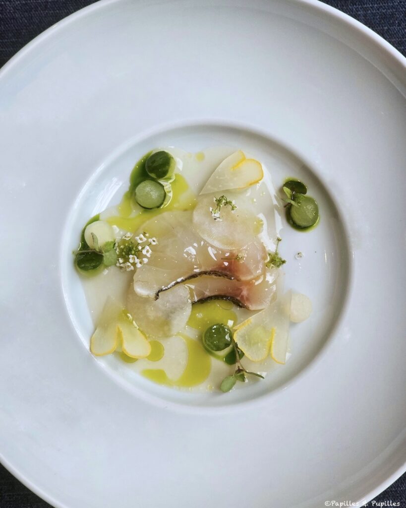 Bar, concombre, chou rave et main de Bouddha