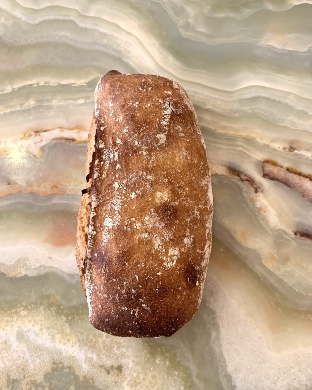 Barbu du Roussillon - Terre de Beaulieu