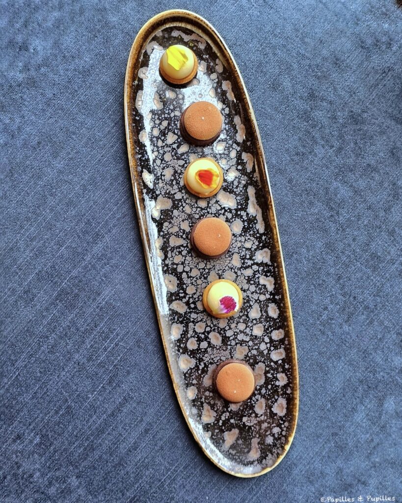 Cheesecake yuzu tagète - Chocolat au lait, feuilletine, grué de cacao