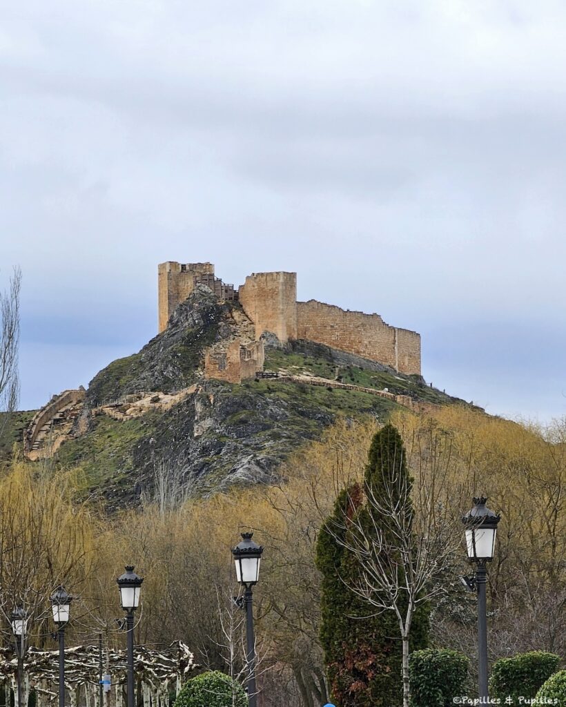 Castillo Burgo de Osma