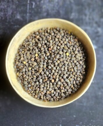 Lentilles