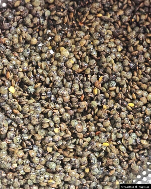 Lentilles rincées