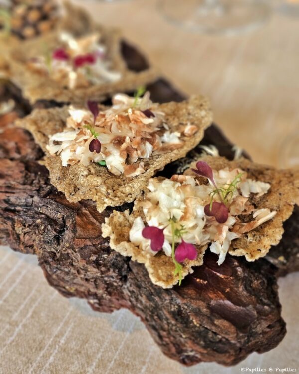 Promenade en montagne