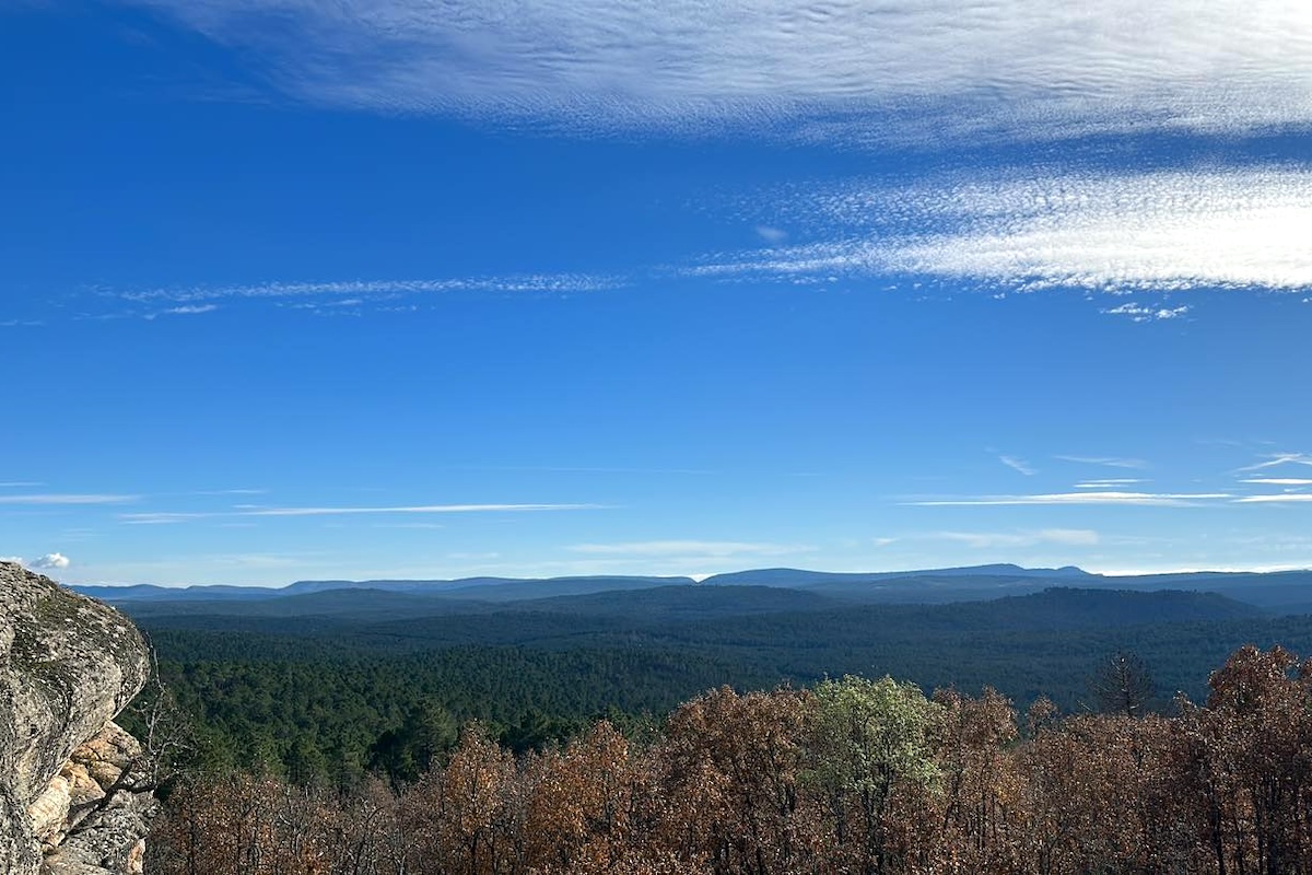 Nature ©Restaurant La Lobita