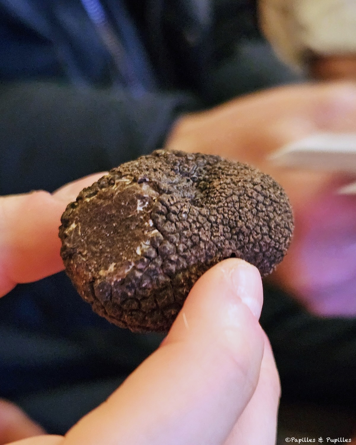 Truffe canifée