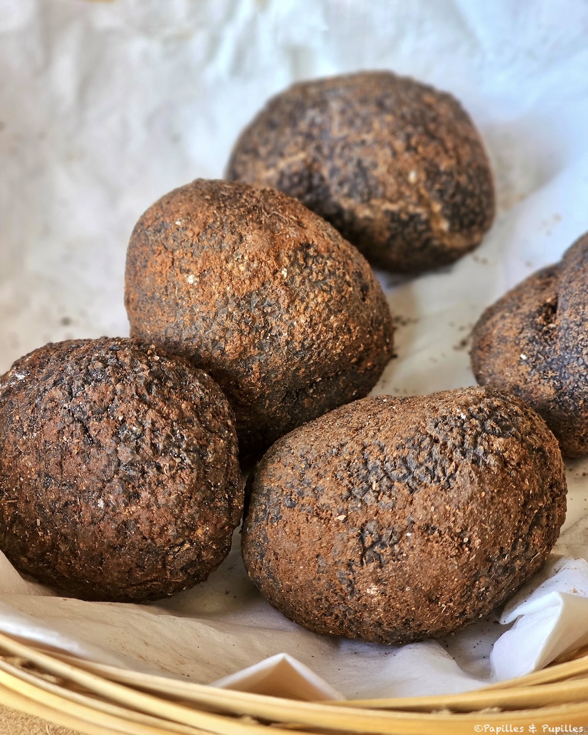 Truffes noires de Soria