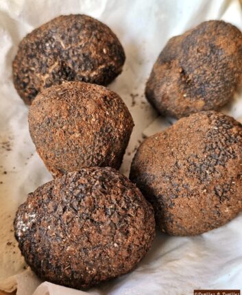 Truffes noires de Soria