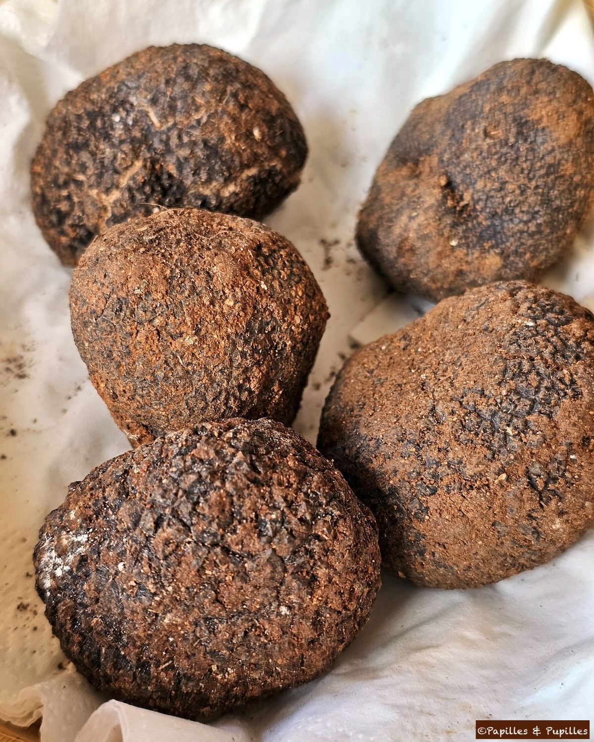 Truffes noires de Soria