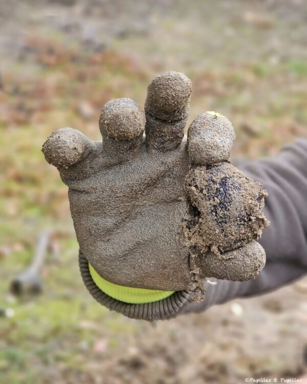 Truffe noire de Soria