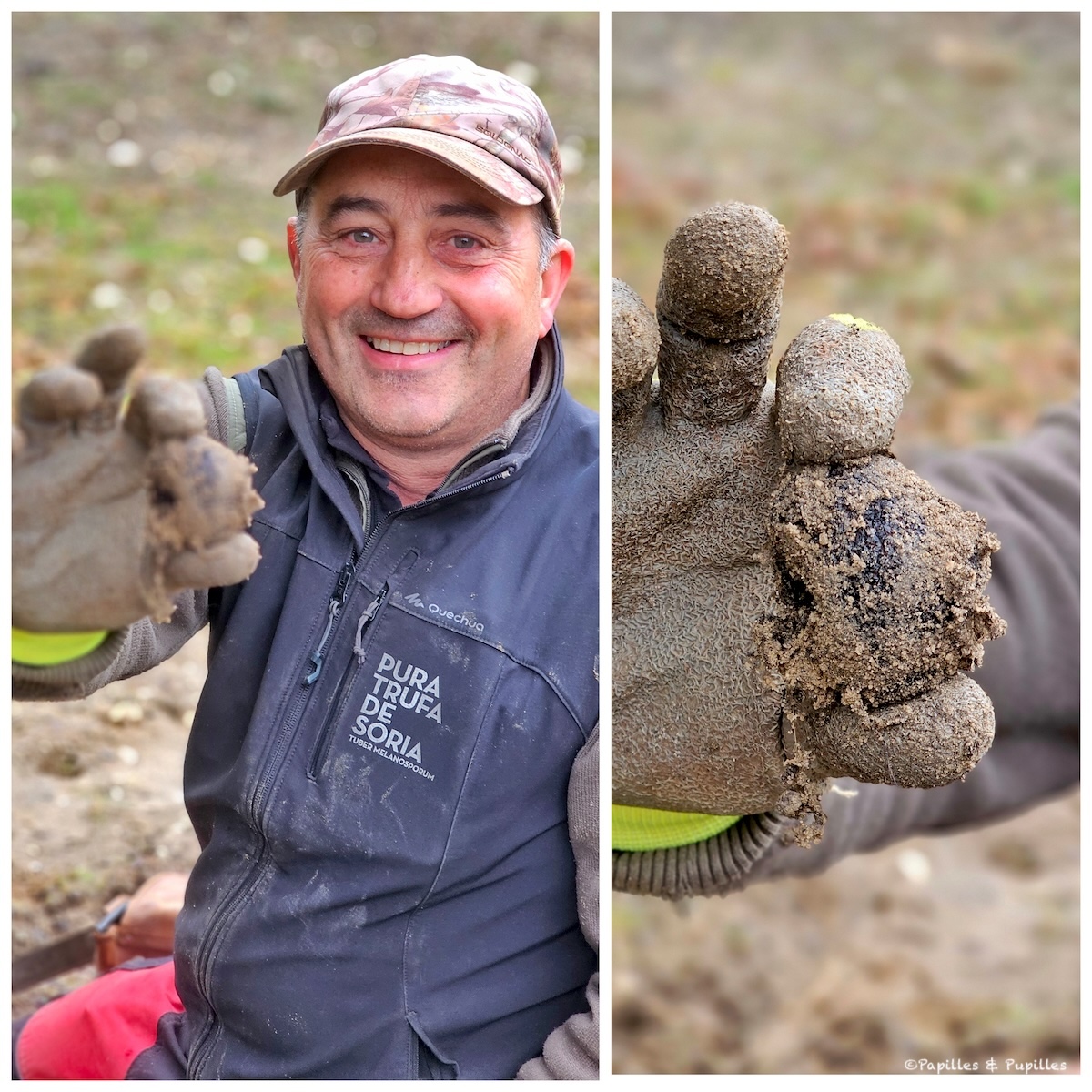 Truffe - Castille-et-León