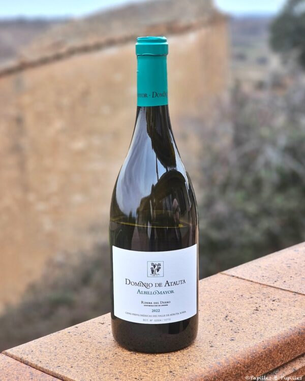 Albillo Mayor - Ribeira del Duero
