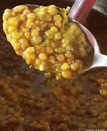 Lentilles à l'ail, oignon et curcuma