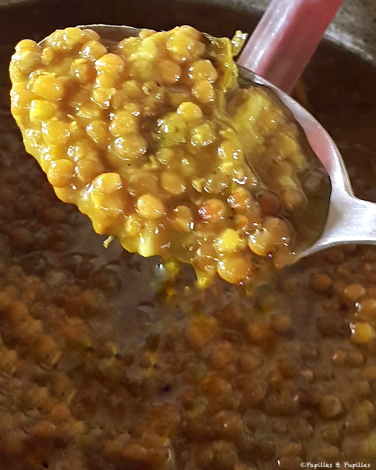 Lentilles à la réunionnaise au curcuma, ail et oignon