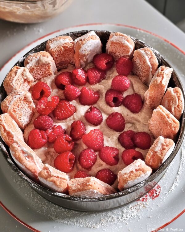 Mettez les framboises