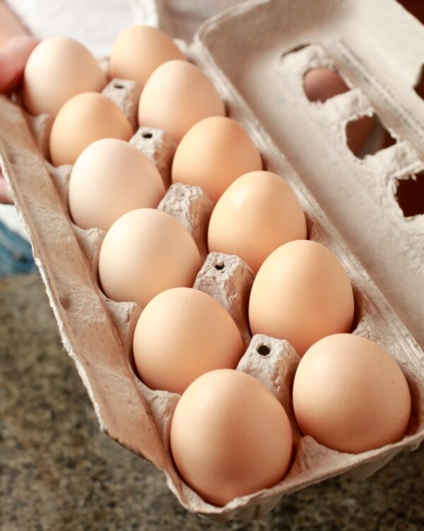 The Reese Family. Baltimore, Ohio Kristen, Matt, Campbell and Parker.