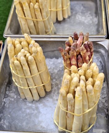 Asperges blanches