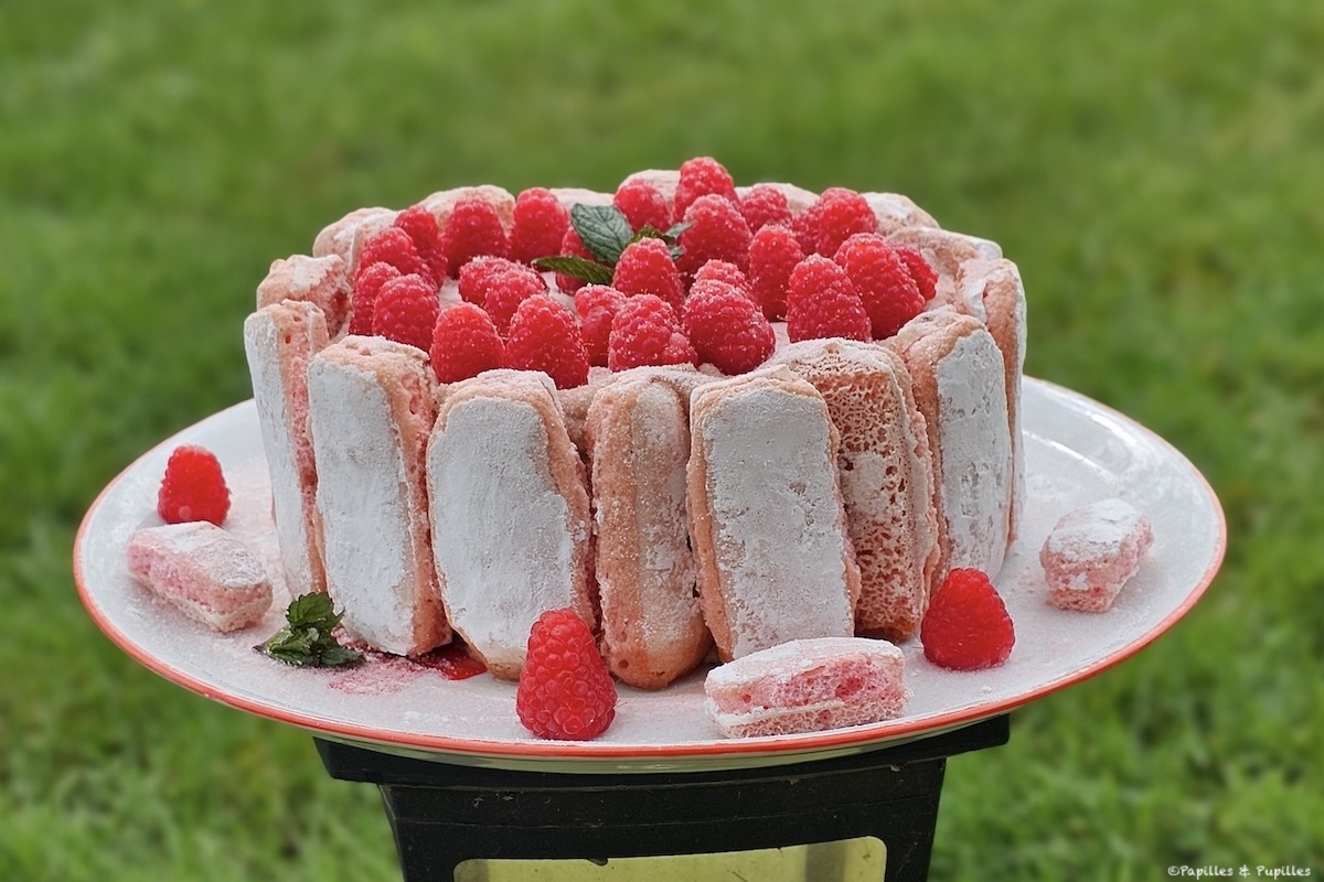 Charlotte aux framboises façon tiramisu