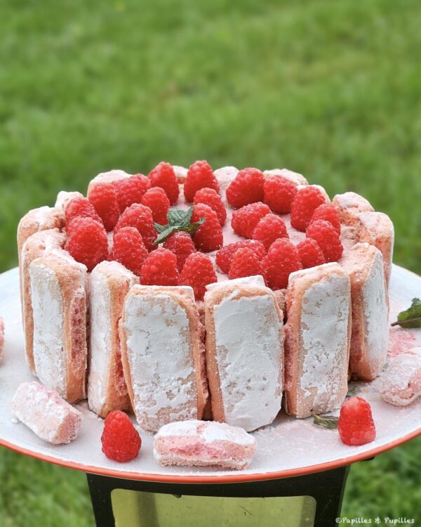 Charlotte aux framboises façon tiramisu