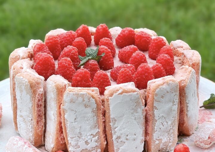 Charlotte aux framboises façon tiramisu