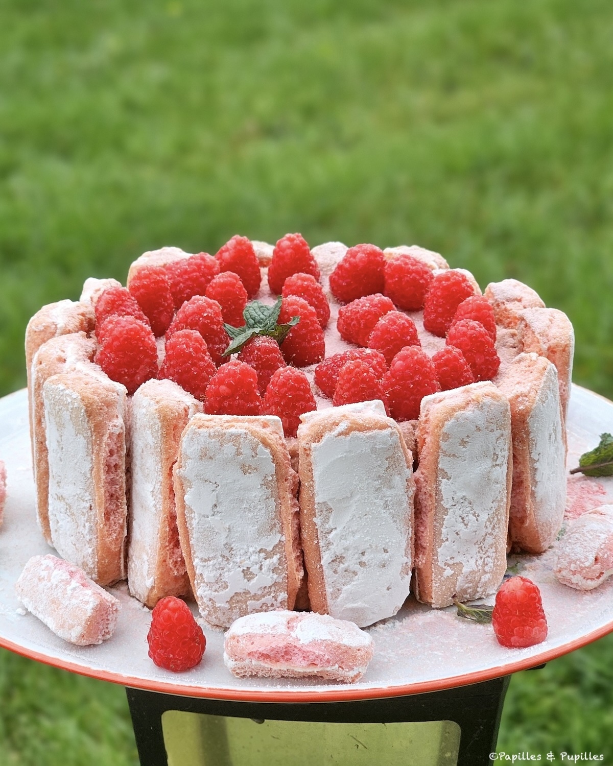 Charlotte aux framboises façon tiramisu