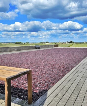 Château La Dominique - la terrasse
