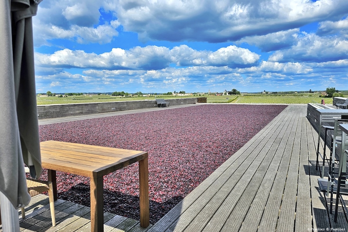 Château La Dominique - la terrasse