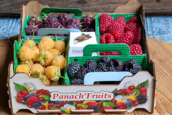 Différentes variétés de framboises